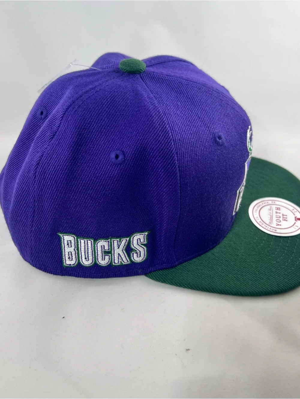 Mitchell & Ness Purple and Green Snapback Hat